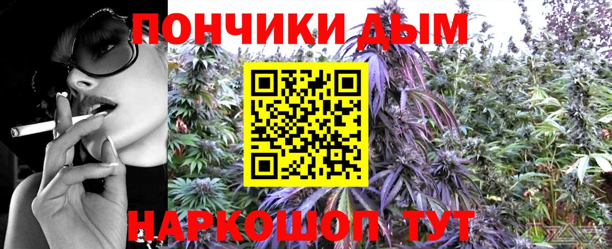 Бошки Шишки план  Каннабис Amnesia  Сосновый Бор  Канабис Ganja  Вход с VPN 